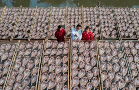 浙江溫嶺：“海味經(jīng)濟(jì)”闖出“靠海吃?！毙侣纷?></a></td>
<td align=