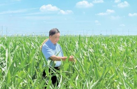 53本筆記，半個(gè)世紀(jì)“糧心”——記時(shí)代楷模、安徽省太和縣種糧大戶徐淙祥