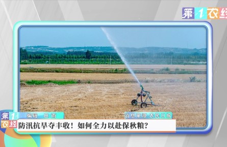防汛抗旱奪豐收！如何全力以赴保秋糧？