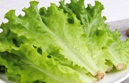 辟謠|生吃生菜真的會感染寄生蟲嗎？