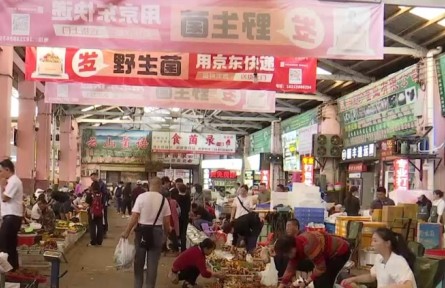 保護(hù)生態(tài) 科技支撐 做強(qiáng)市場 云南推動食用菌產(chǎn)業(yè)高質(zhì)量發(fā)展