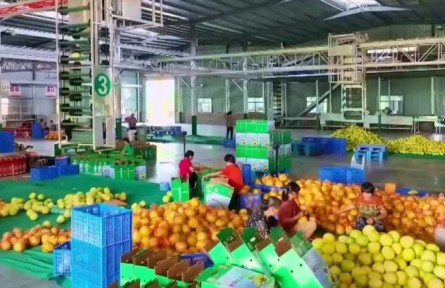 江西：特色產(chǎn)業(yè) 繪就富民基礎(chǔ)