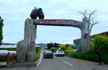 ?家鄉(xiāng)農(nóng)產(chǎn)品大學(xué)生推薦官 | 品牌手記?：太谷壺瓶棗:千年“紅釉瓶”般的鄉(xiāng)土珍果