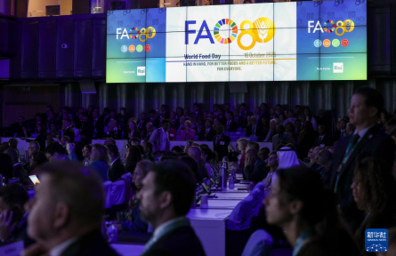 聯(lián)合國糧農(nóng)組織舉行世界糧食日暨成立80周年慶?；顒?/></a>
<ul><li><a href=