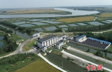 松遼流域繪就糧安與生態(tài)共榮新圖景