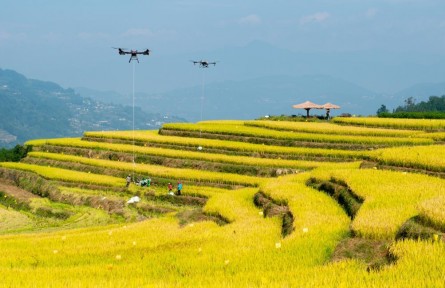 年收入約18萬(wàn)億元！鄉(xiāng)村產(chǎn)業(yè)繪新貌