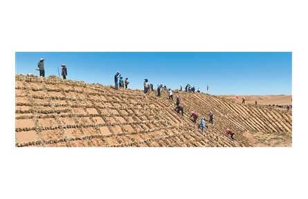 麥草方格，方寸之間鎖流沙