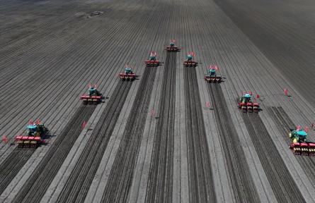 守好糧食生產(chǎn)的命根子！我國擬立法加強(qiáng)耕地保護(hù)和質(zhì)量提升