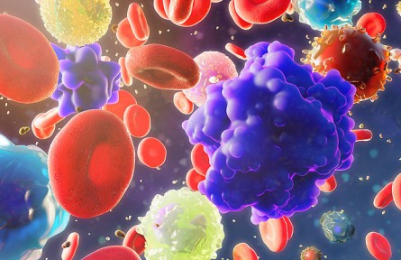 科技名詞|循環(huán)腫瘤細(xì)胞 circulating tumor cell；CTC