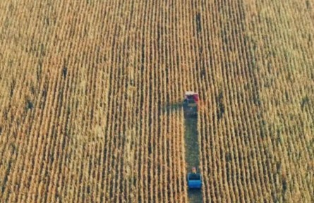 吉林秋收“加速度”，進(jìn)度同比提速5%