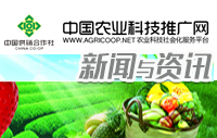 市場(chǎng)監(jiān)管總局批準(zhǔn)發(fā)布一批重要國(guó)家標(biāo)準(zhǔn)